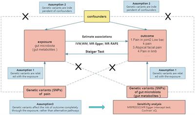 Multiple reports on the causal relationship between various chronic pain and gut microbiota: a two-sample Mendelian randomization study